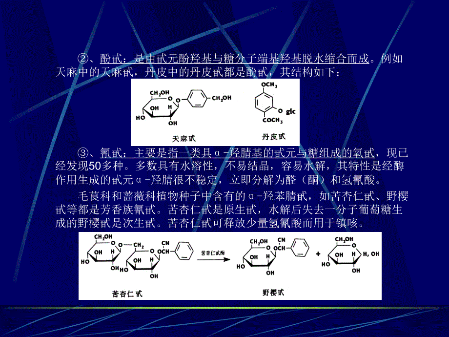 天然药物化学（北京大学）第四课_第4页