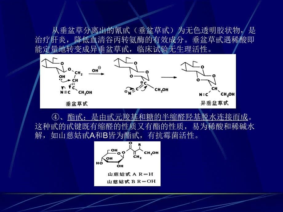 天然药物化学（北京大学）第四课_第5页