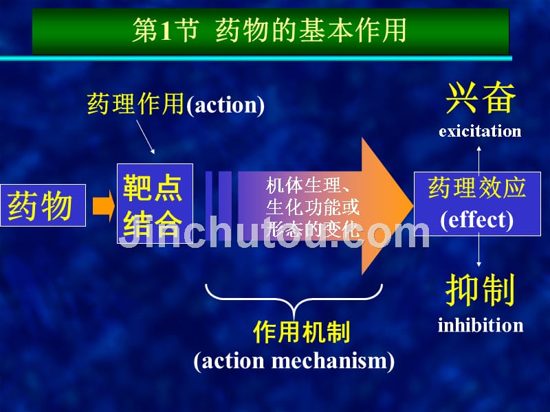 药物效用动力学_第2页