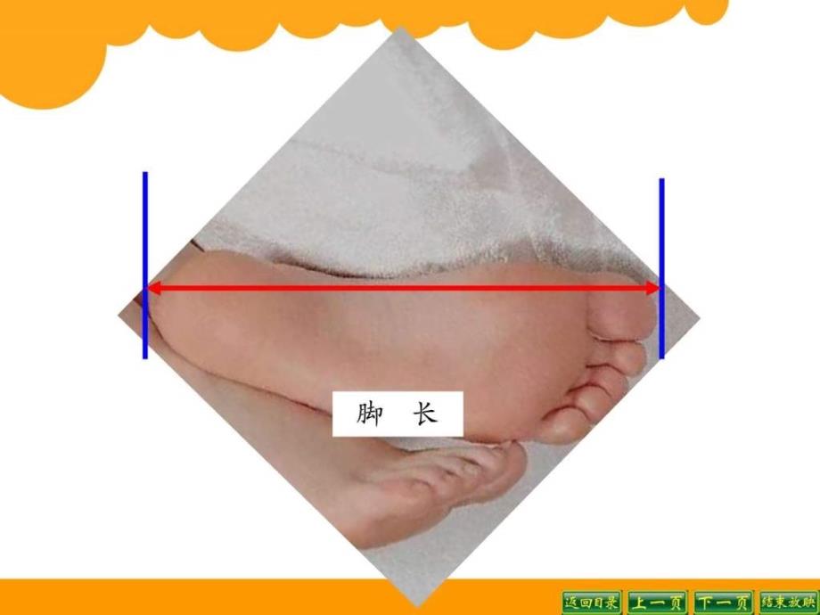 二年级寻找身体上的数学秘密二ppt课件_第4页