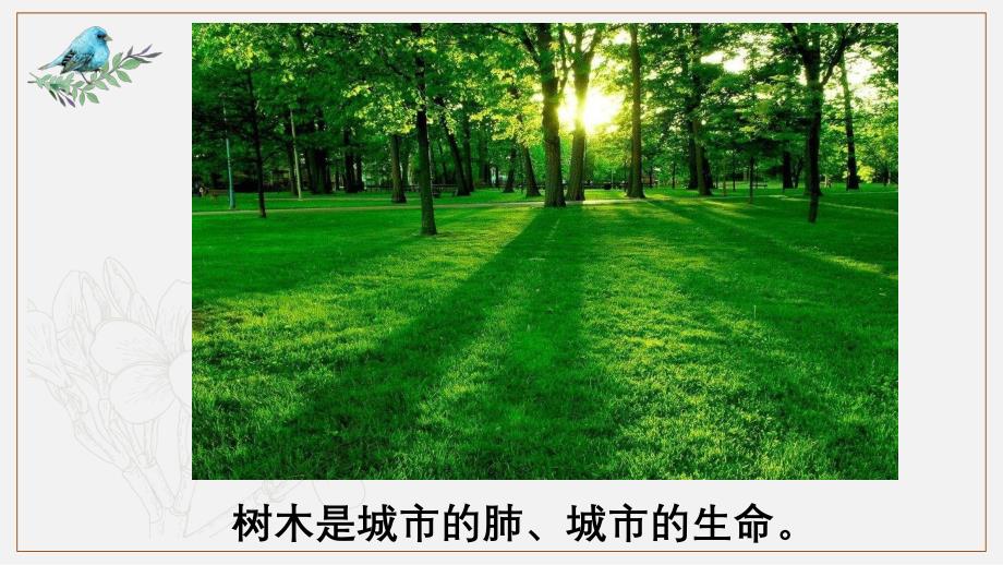 创建森林城市-保护碧水蓝天_第4页