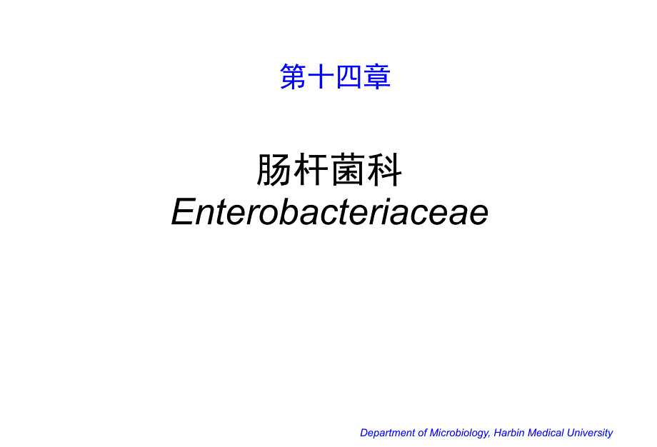 微生物学肠杆菌科14escherichia_第1页