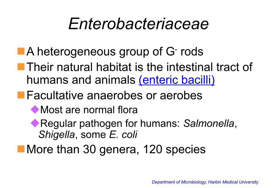 微生物学肠杆菌科14escherichia_第2页