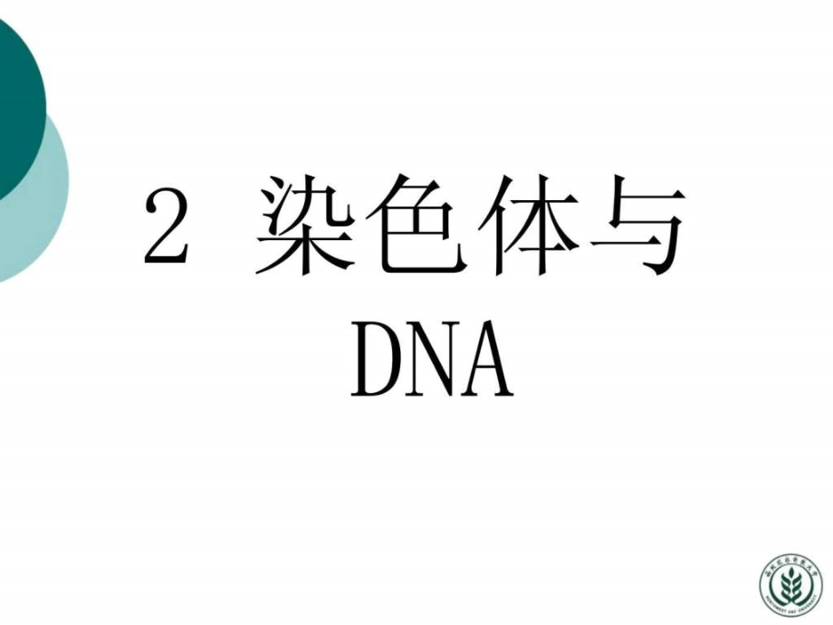 分子生物学许晓东2（nxpowerlite）ppt课件_第1页