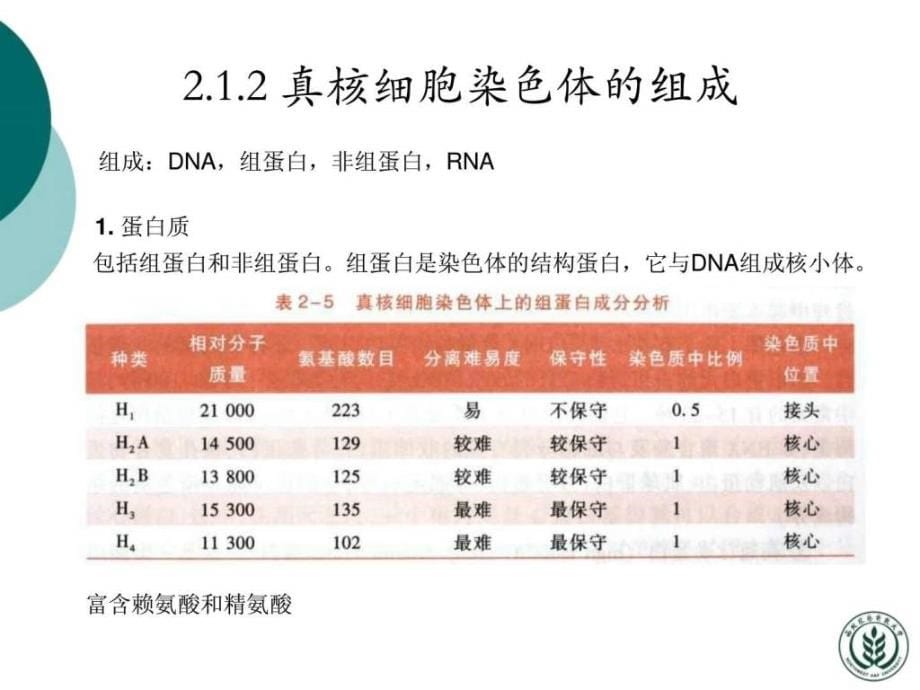 分子生物学许晓东2（nxpowerlite）ppt课件_第5页