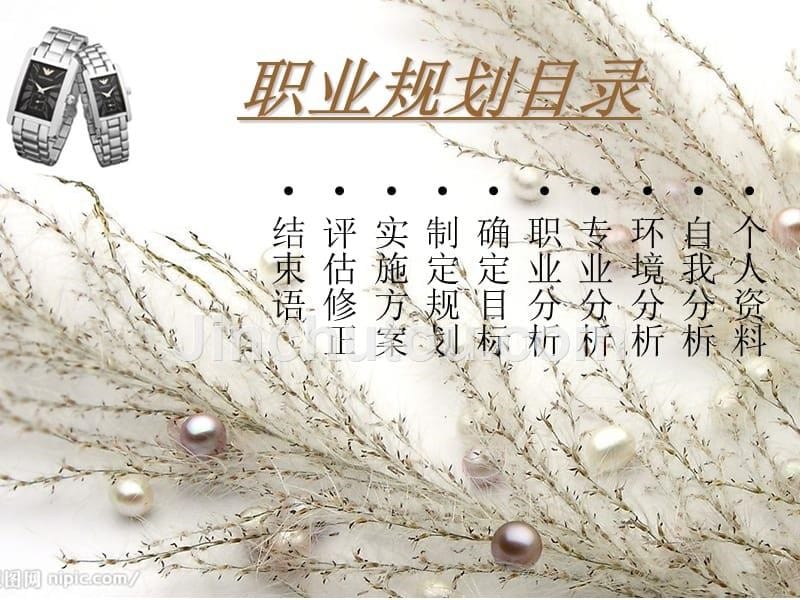 大学生职业规划沙洲职业工学院_第5页