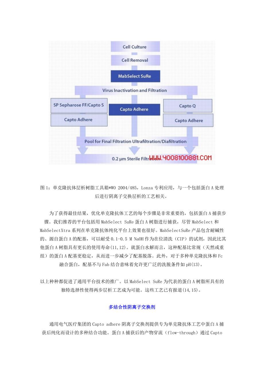 用多结合性阴离子交换剂去除mab污染_第2页