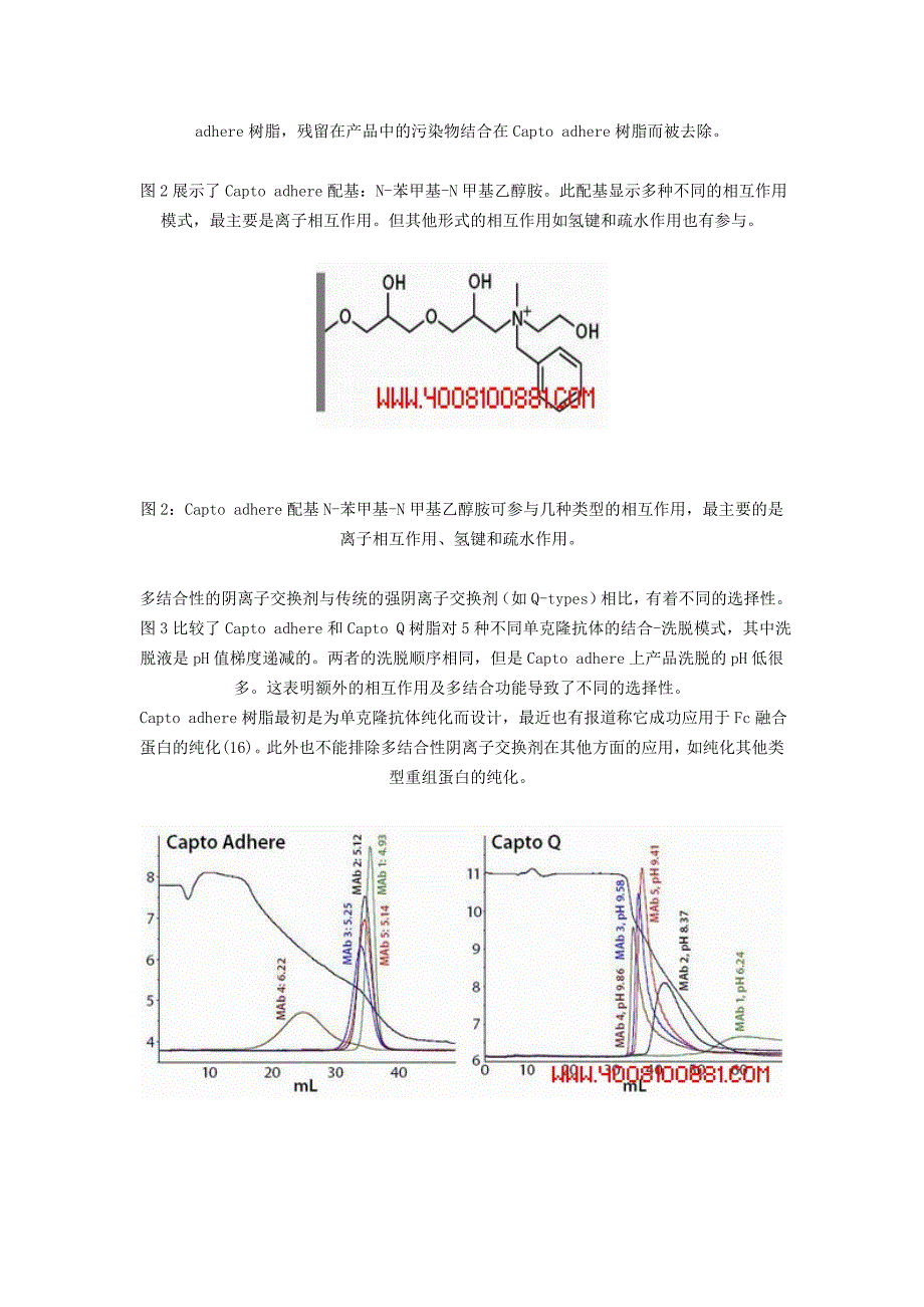 用多结合性阴离子交换剂去除mab污染_第3页