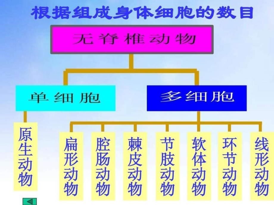 观察多种多样的生物ppt课件_第5页