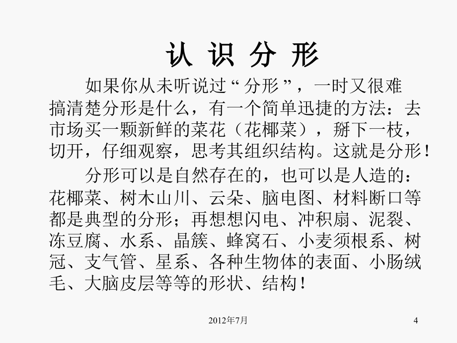 姿多彩的分形几何学及其应用”ppt文件_第4页