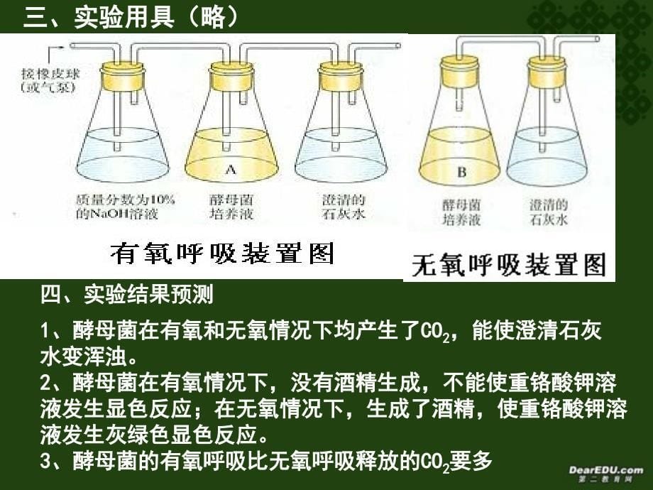 细胞呼吸高三复习用_第5页