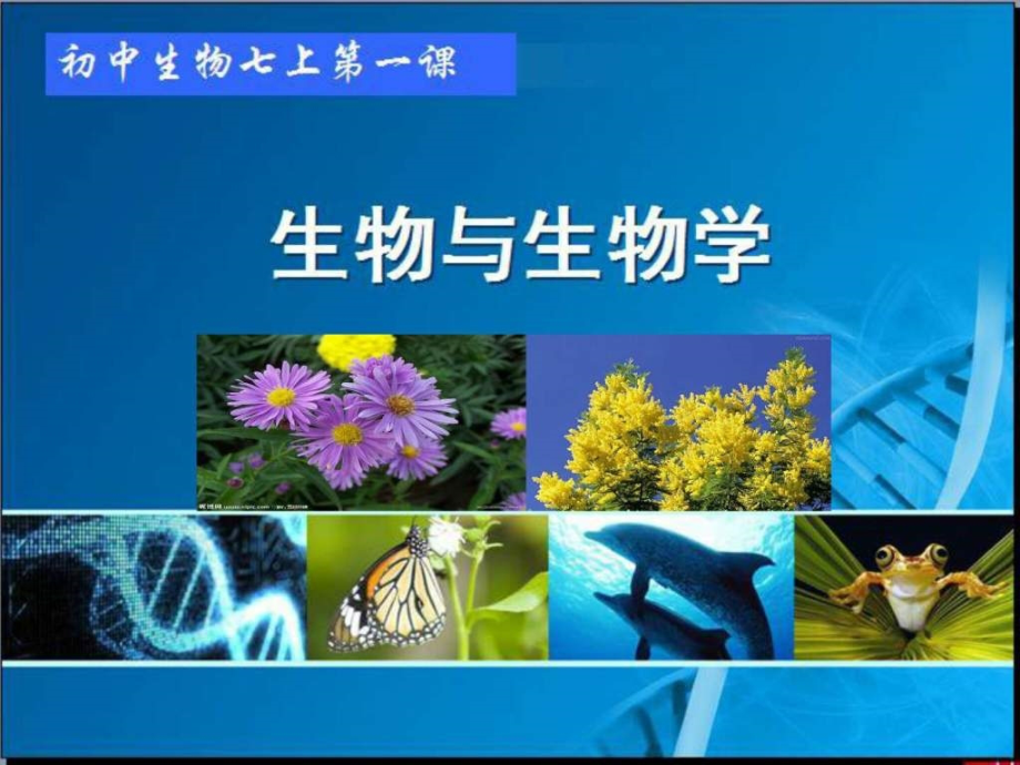 初中生物生物的基本特征ppt课件_第1页