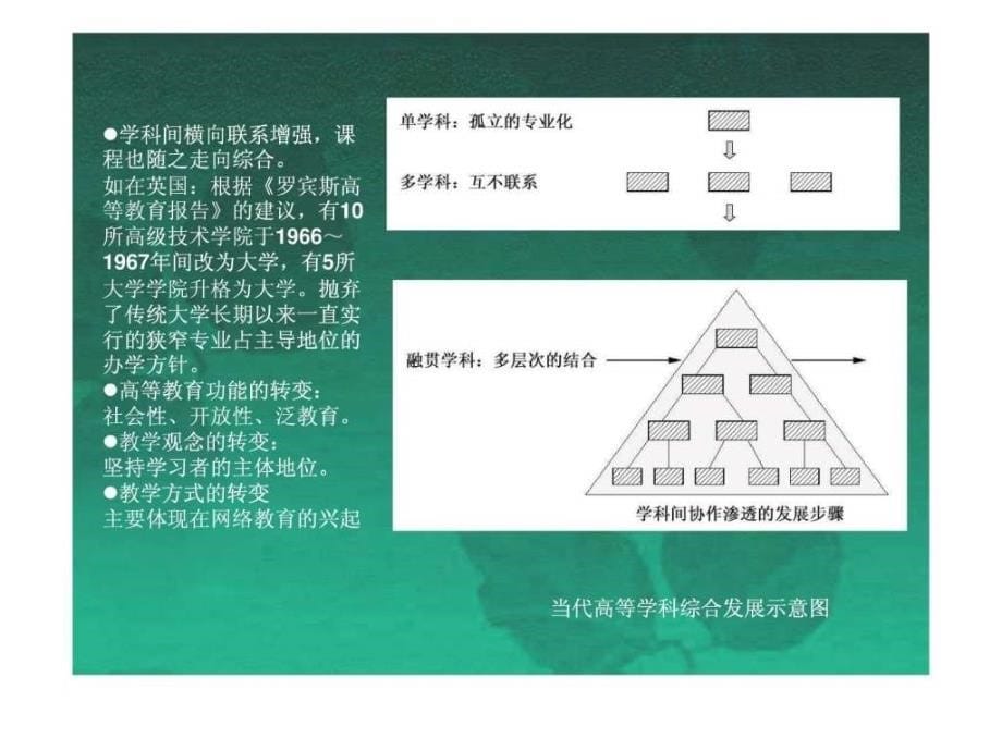 大学校园规划基础知识ppt课件_第5页