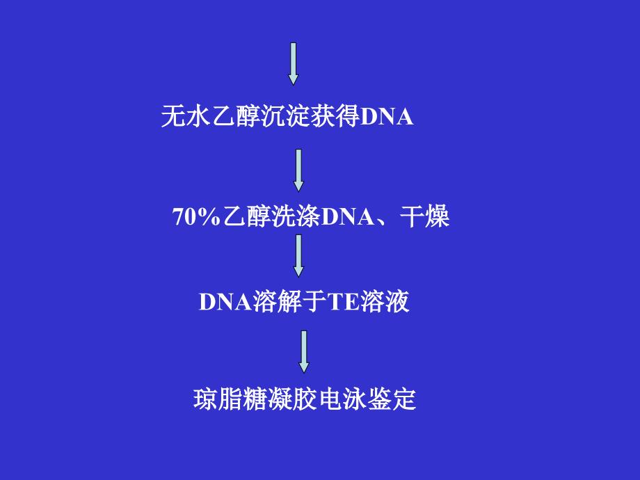 基因组dna提取(7年制)_第3页