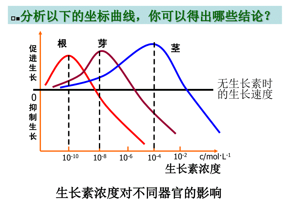 生长素的生理作用1_第2页