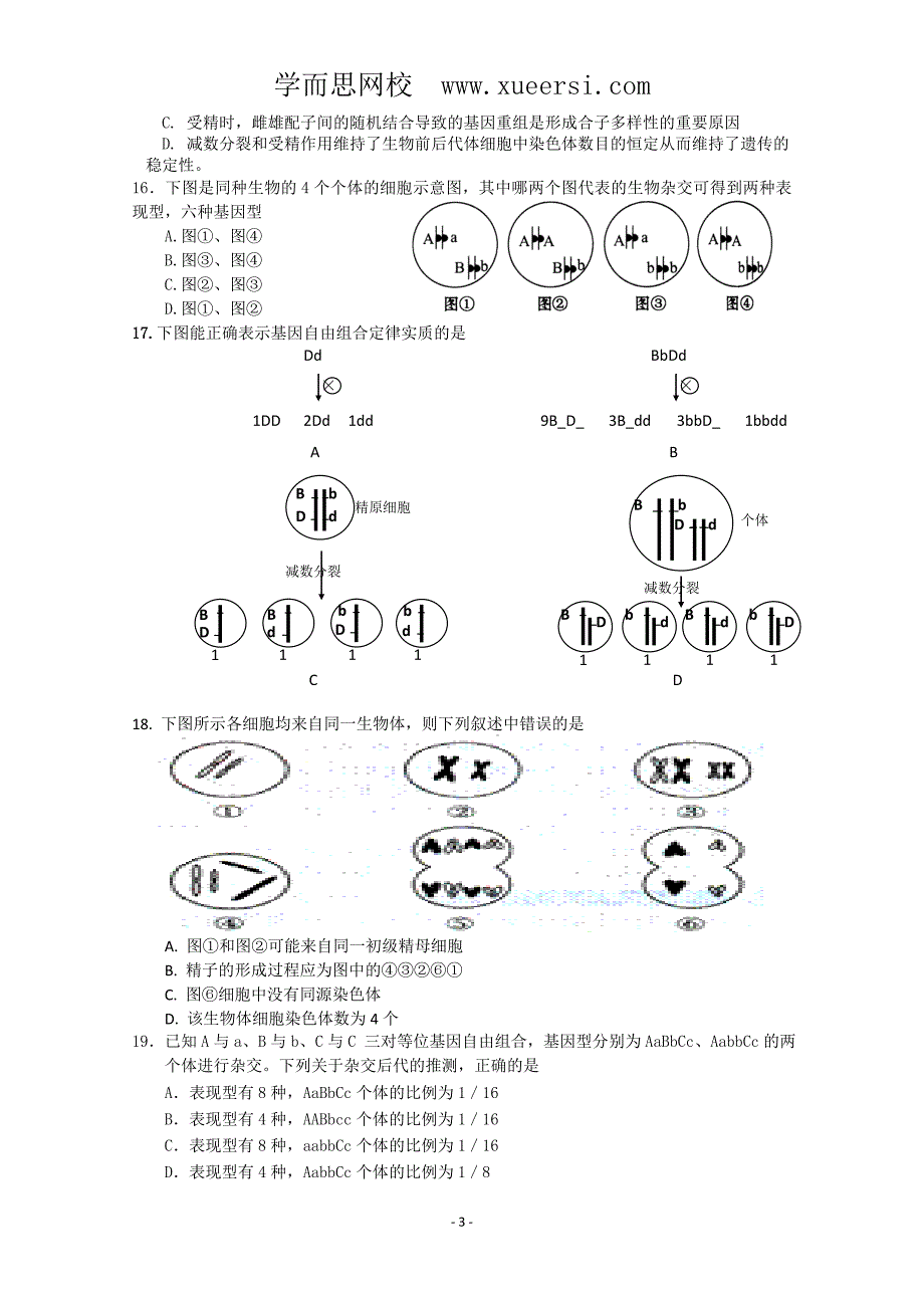 湖南2011届高三生物上学期期中考试_第3页