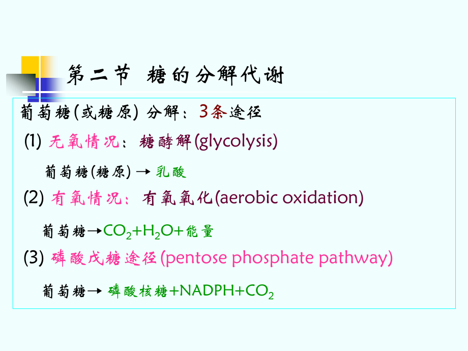 生物化学第八章糖代谢ii_第1页