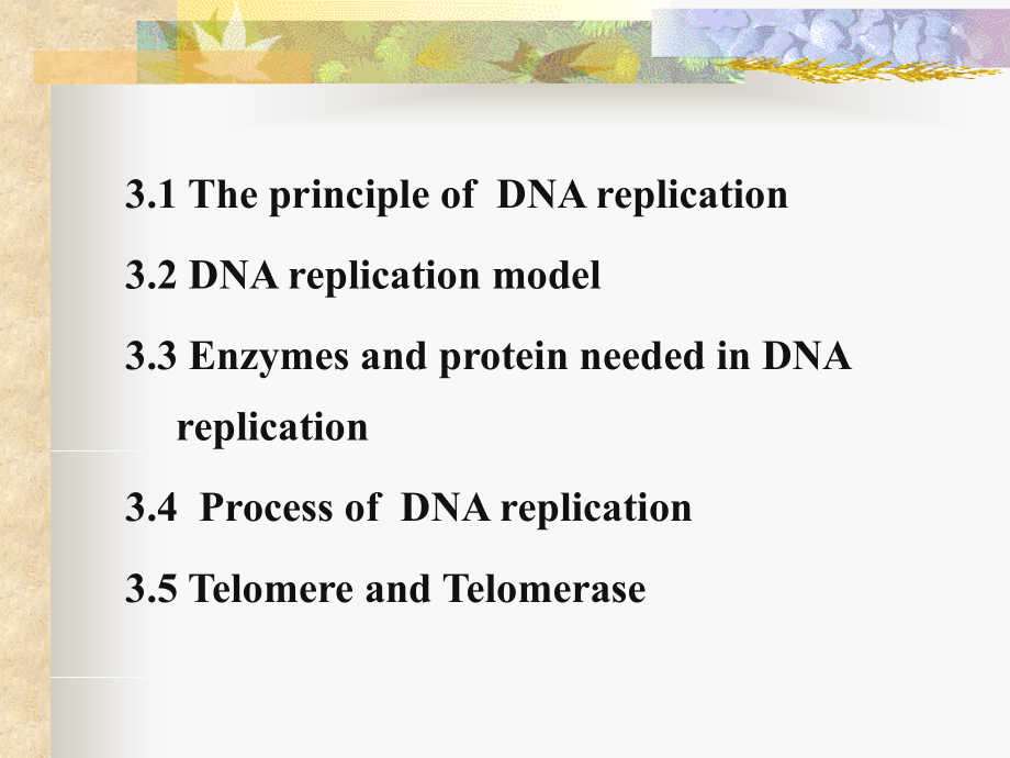 大学分子生物学经典双语课件c3：dnareplication_第2页