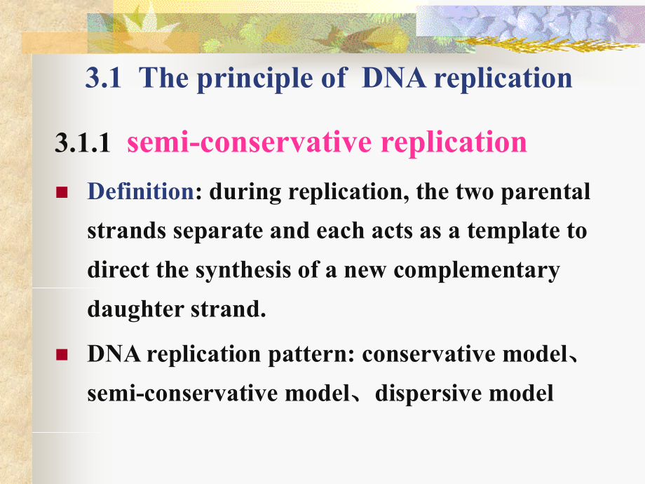 大学分子生物学经典双语课件c3：dnareplication_第3页