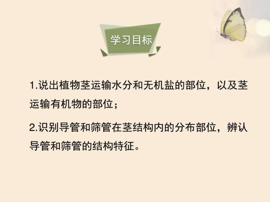 北师大版七年级生物上册55《运输作用》优教课件_第4页