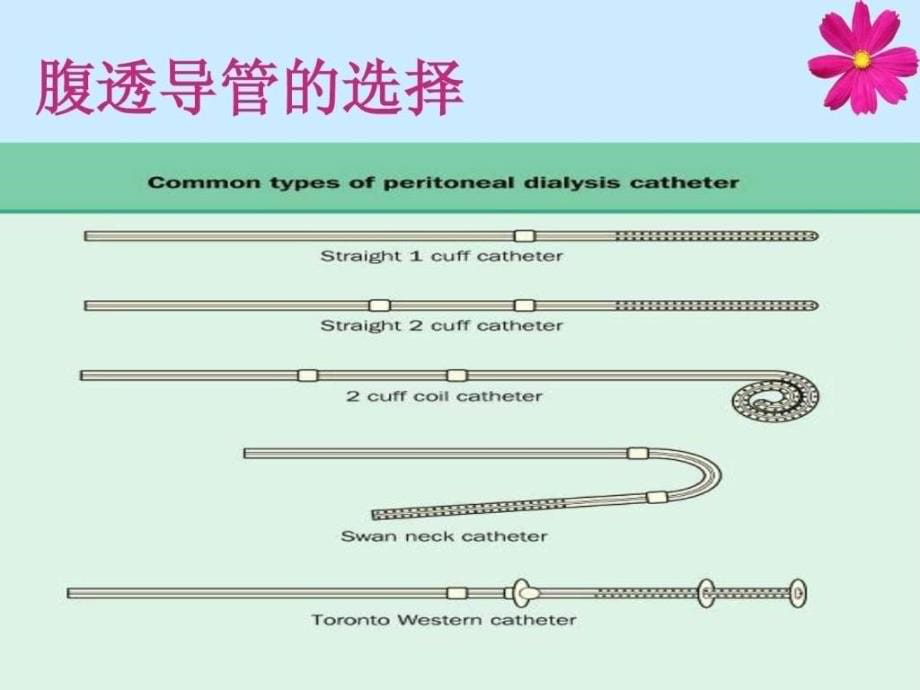 腹膜透析导管护理ppt课件_第5页