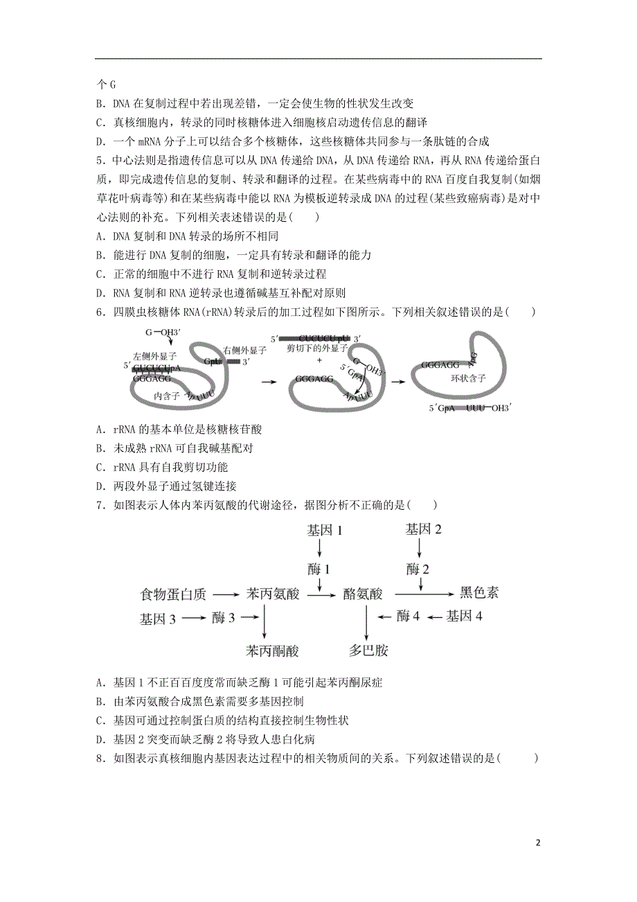 河北省邢台市平乡县高考生物三轮冲刺考前15天课堂集训遗传的分子基础_第2页