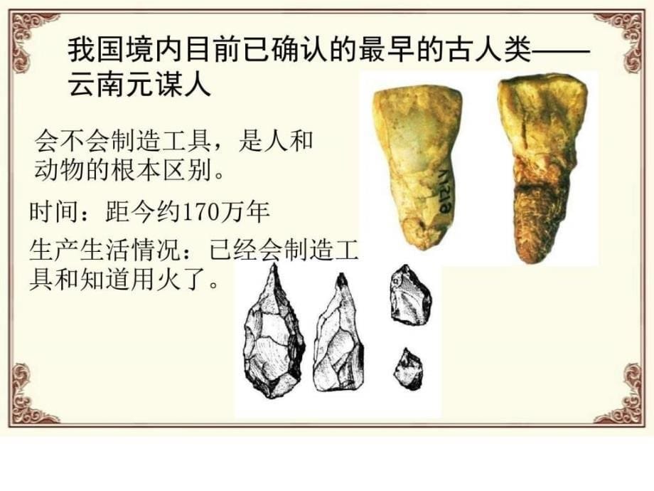 中国早期人类的代表北京人_1ppt课件_第5页