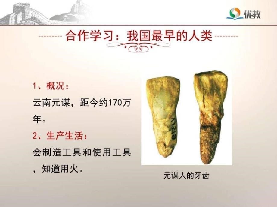 中国早期人类的代表北京人ppt课件_第5页