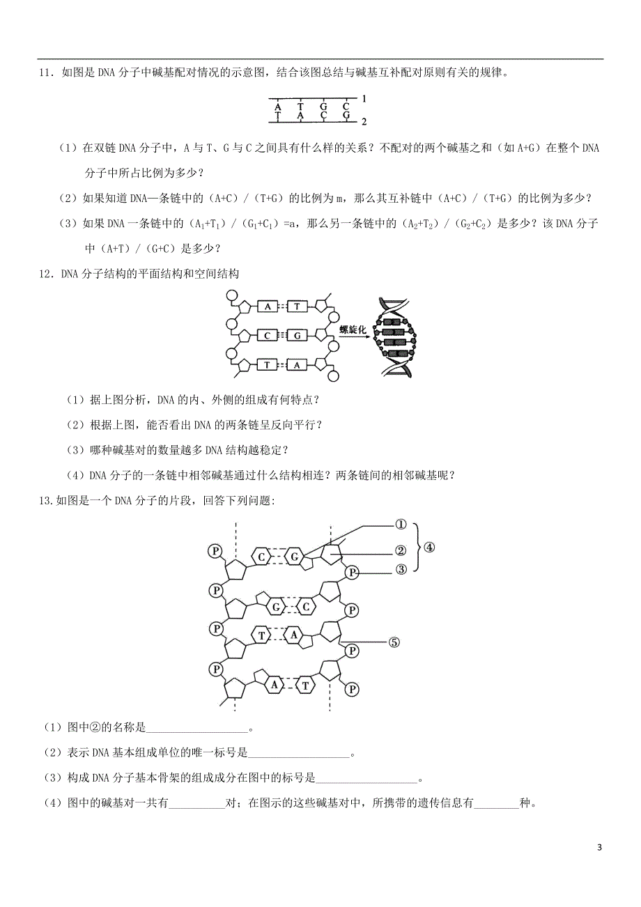 广东省深圳市2017-2018学年高中生物dna分子的结构堂堂清新人教版必修2_第3页