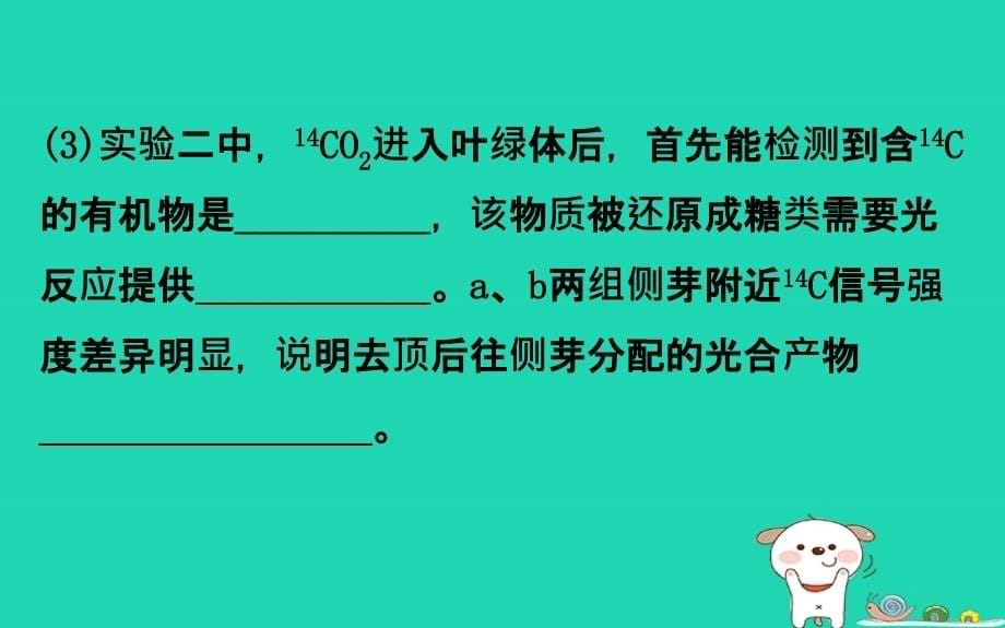 2019届高考生物一轮复习高考提分课件：课九植物激素调节的实验探究_第5页