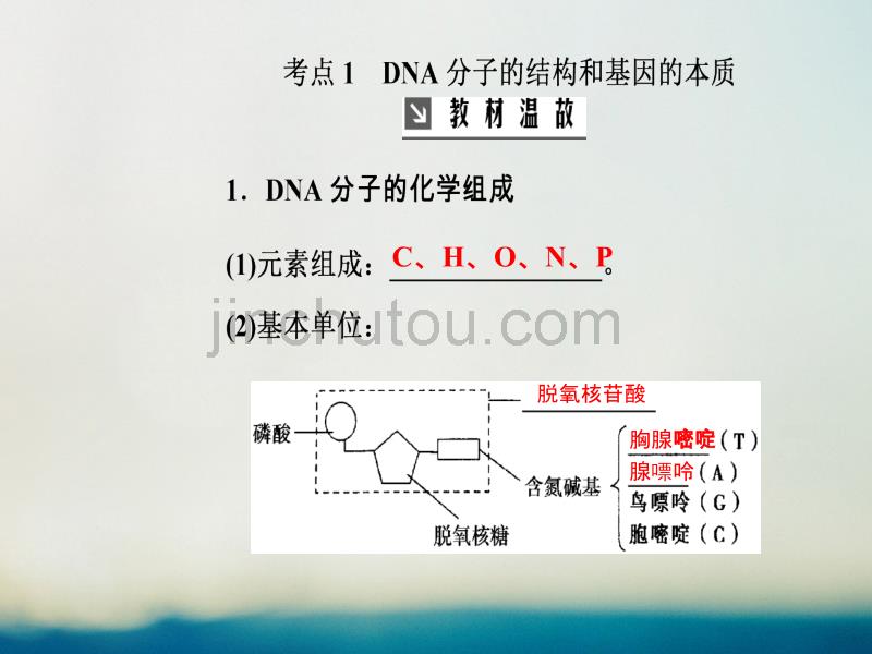 2019版高考生物总复习第六单元遗传的分子基础第2讲dna分子的结构、复制和基因的本质课件_第3页