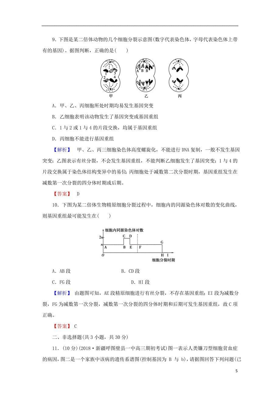 2018届高考生物总复习第七单元生物的变异育种和进化7_22基因突变和基因重组限时训练_第5页