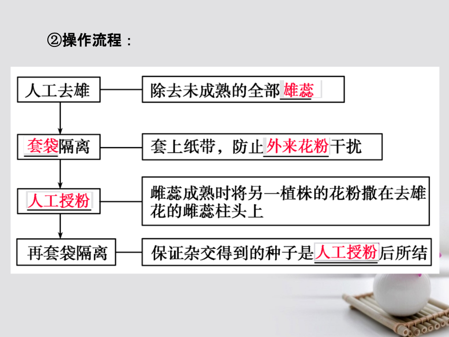 2018届高考生物总复习第五单元遗传的基本规律5_15基因的分离定律课件_第4页