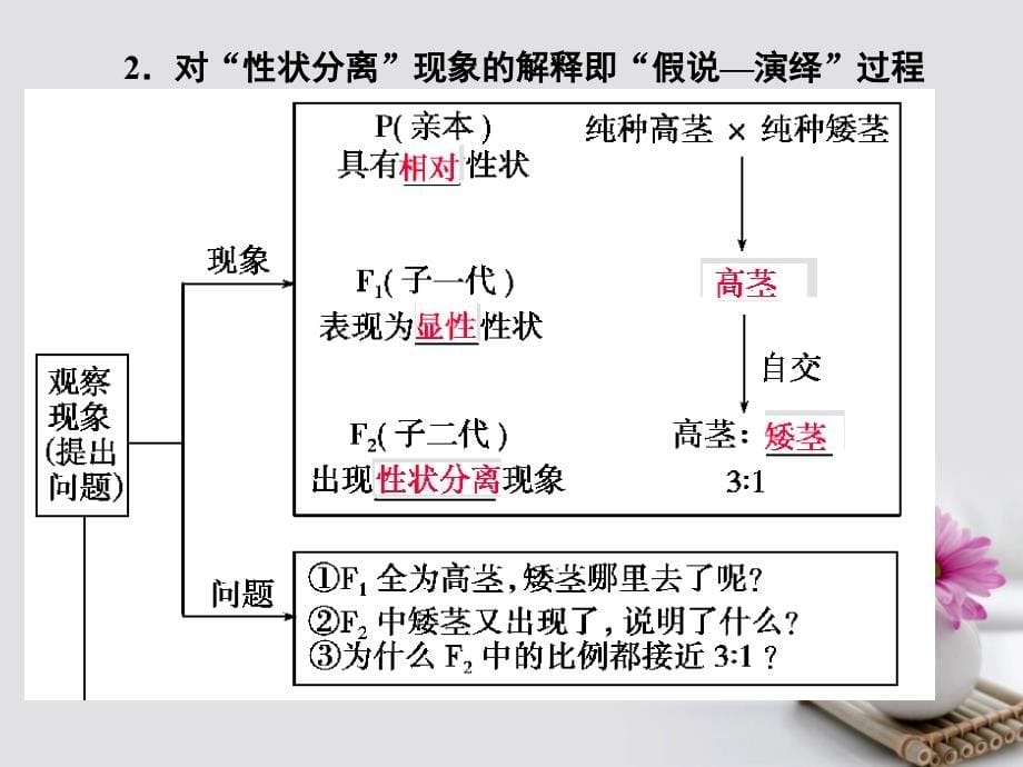 2018届高考生物总复习第五单元遗传的基本规律5_15基因的分离定律课件_第5页