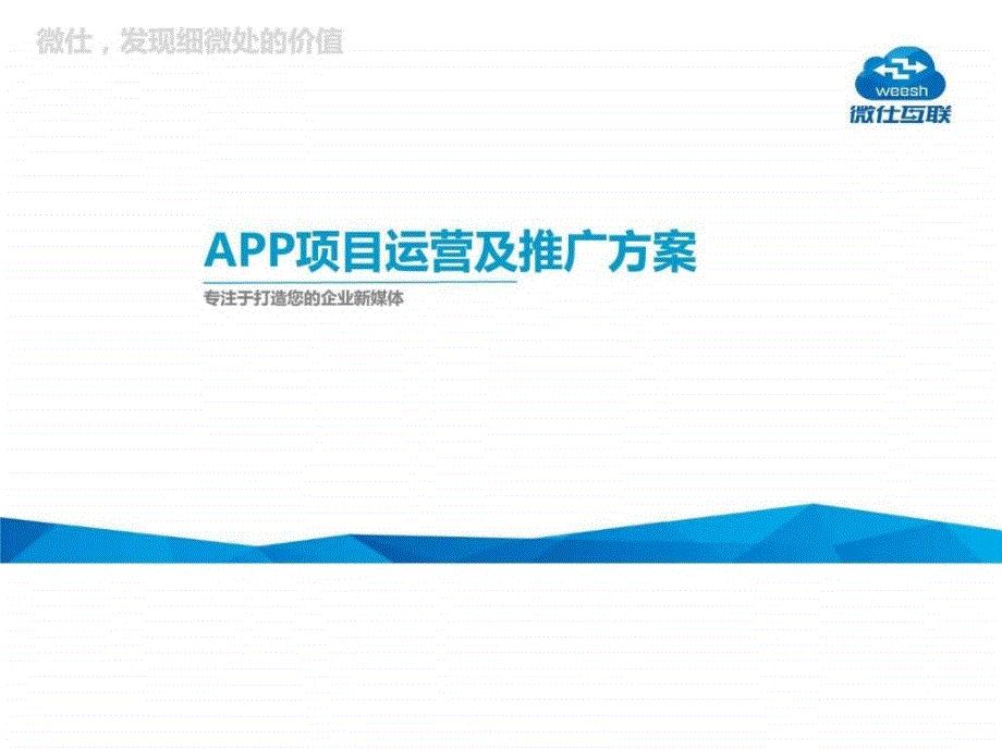 定制开发运营推广方案微仕互联ppt课件_第2页