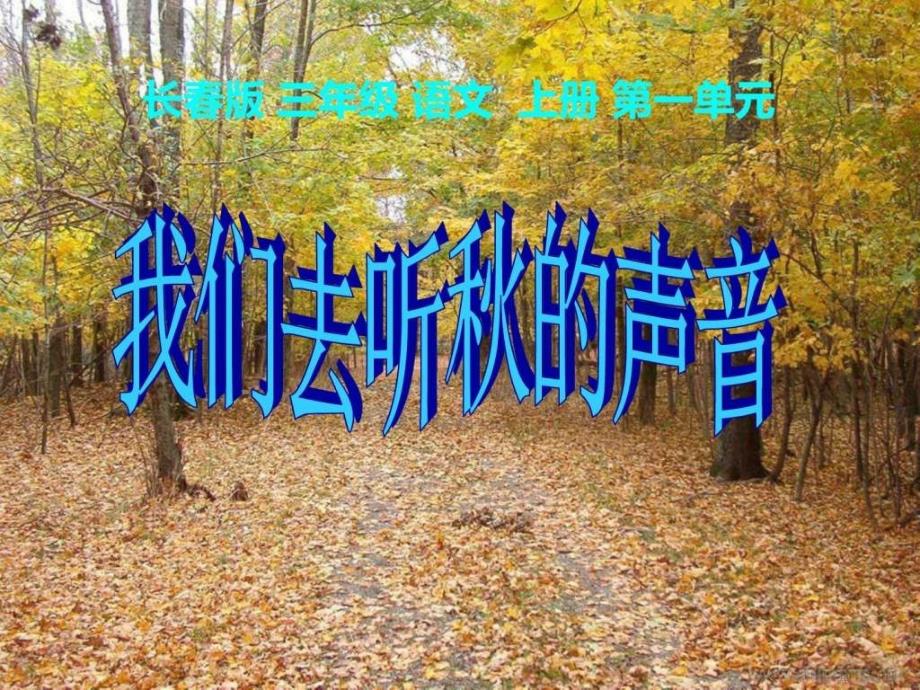 《我们去听秋的声音》优质公开课课件_第1页