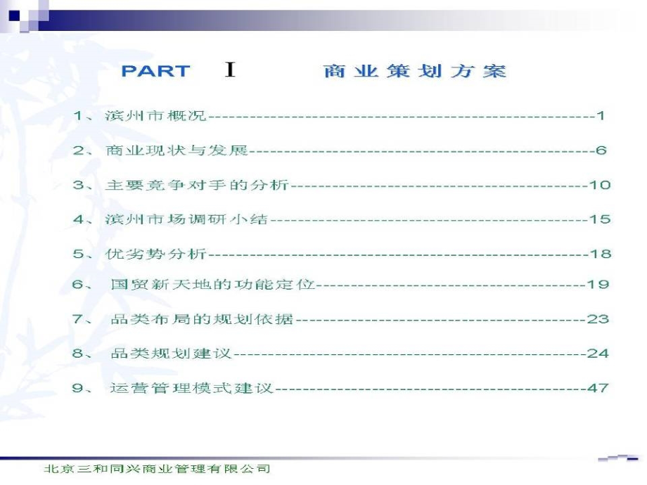 滨洲国贸新天地商业策划全案_第3页