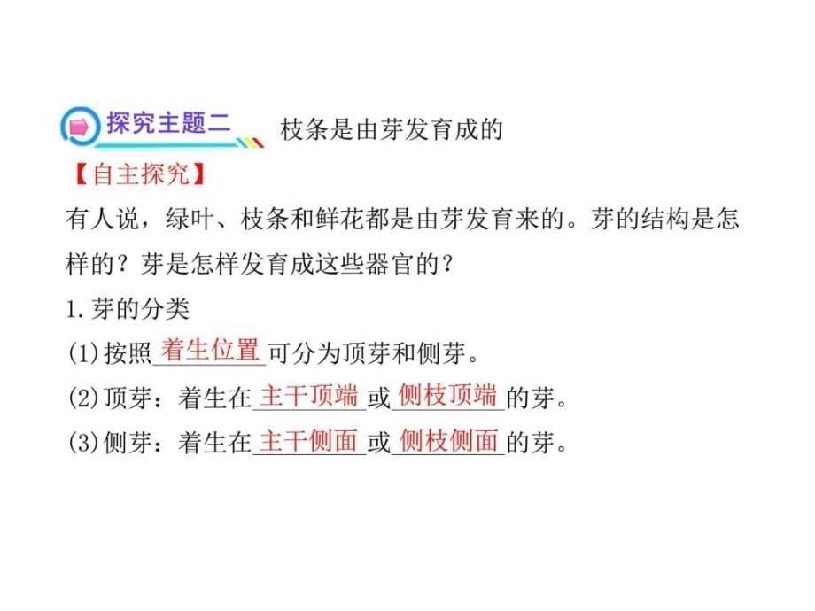 人教版七年级生物上册第二章第二节植株的生长ppt课件_第5页