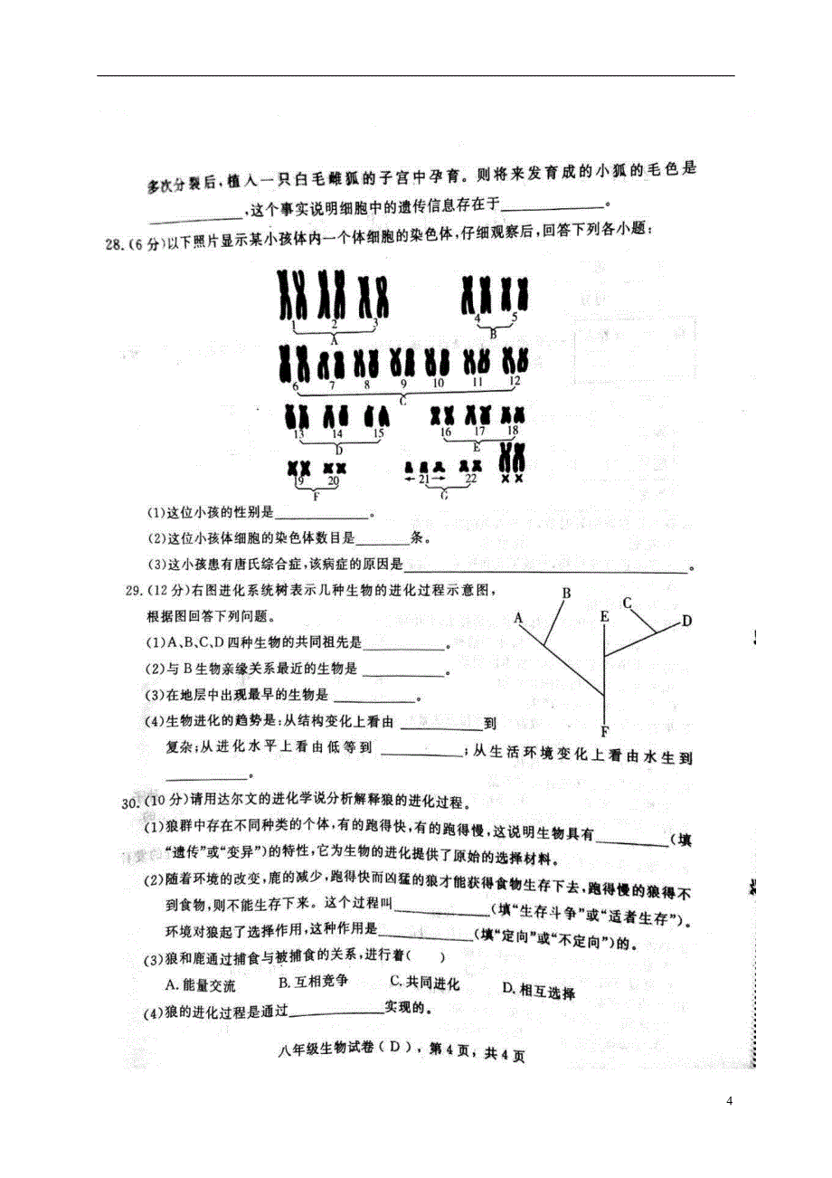 河北省安平县2017-2018学年度八年级生物下学期期中试题新人教版_第4页