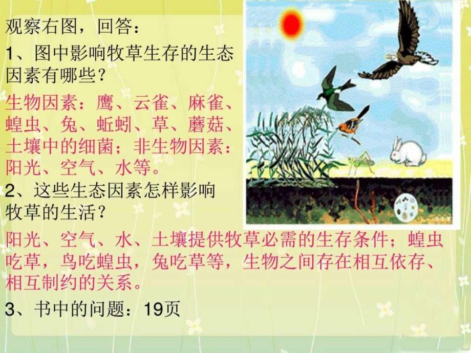 《生物与环境组成生态系统》课件_第2页