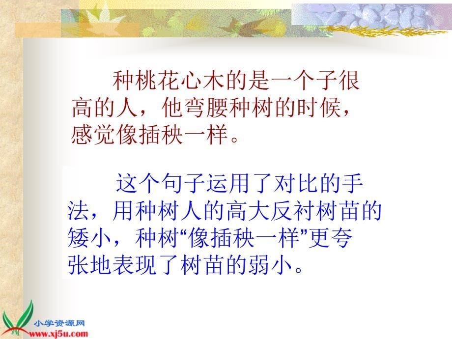 《桃花心木》课件_第5页