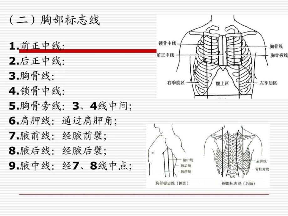 导联心电图检查ppt课件_第3页