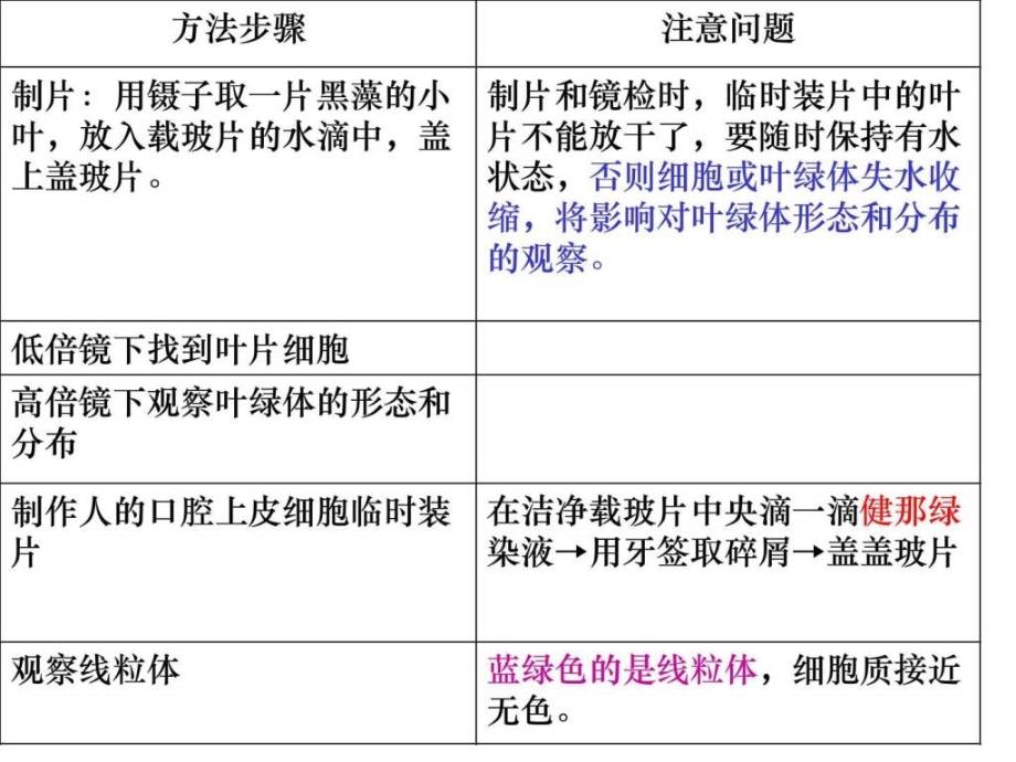 全考点覆盖（详细表格表示word版便于打印）ppt课件_第1页