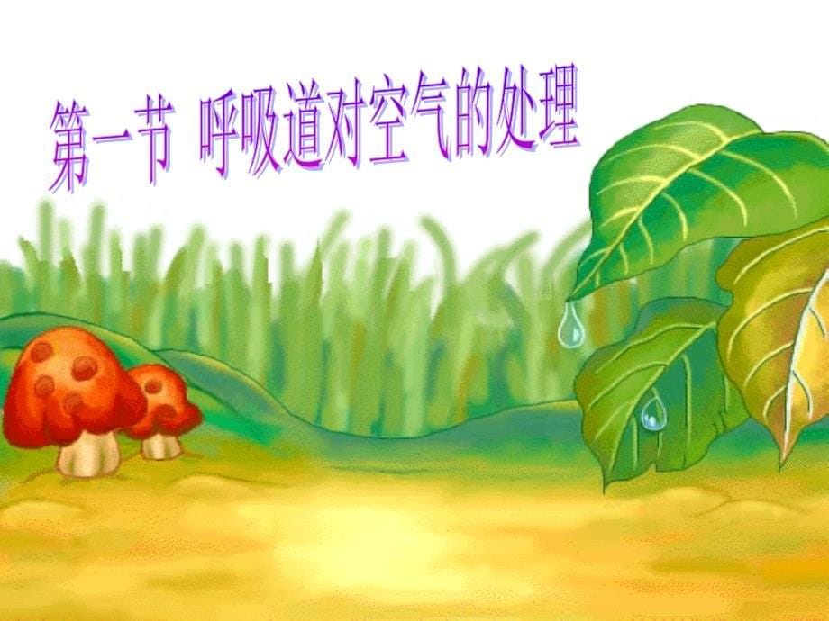 七年级生物下册第四单元第三章第一节呼吸道对空气的处理课件2新版新人教版_第5页