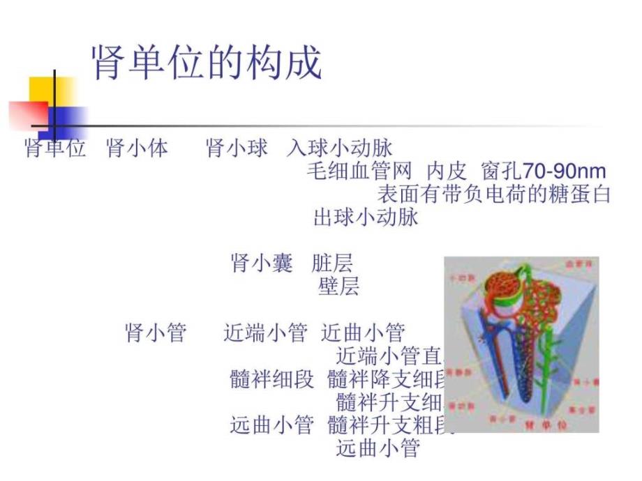 血液透析的基本原理ppt课件_第3页