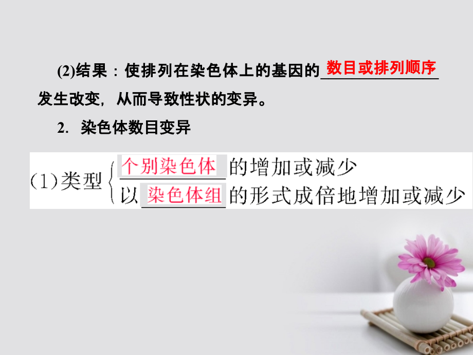 2018届高考生物总复习第七单元生物的变异育种和进化7_23染色体变异与育种(基因工程)课件_第3页