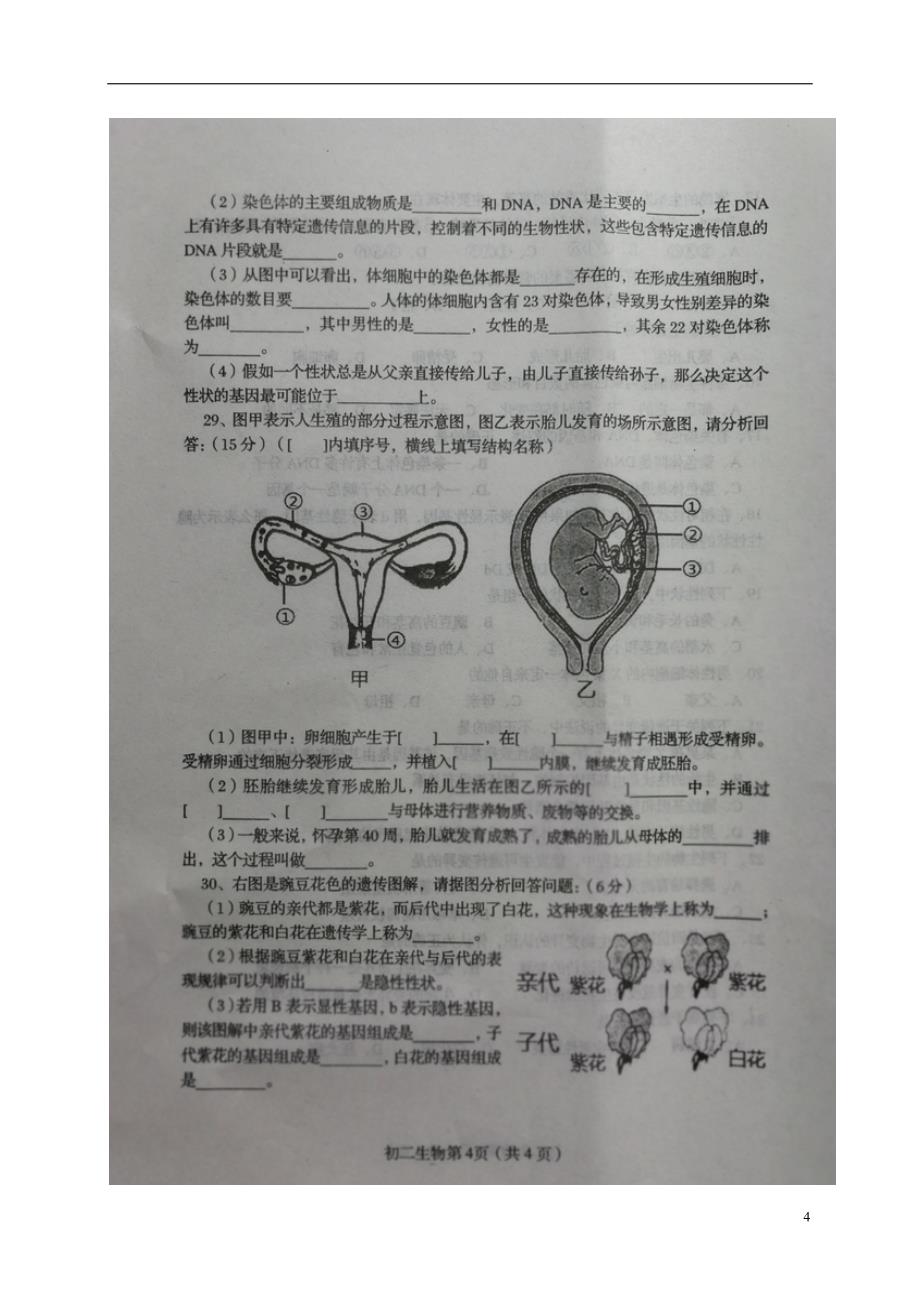 河北省秦皇岛市海港区2017-2018学年度八年级生物下学期期中试题新人教版_第4页