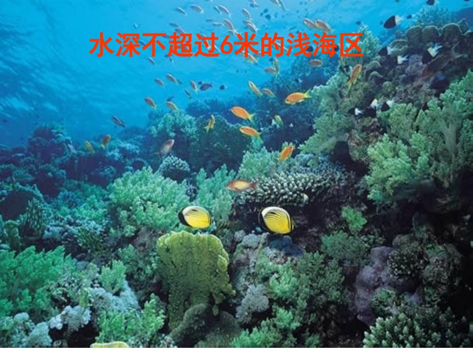 湘教版湿地资源的开发与保护_第4页