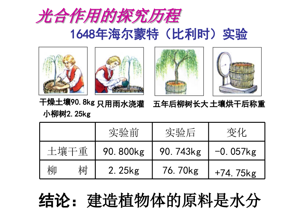 2015年高三第一轮复习---光合作用（考纲要求）_第2页