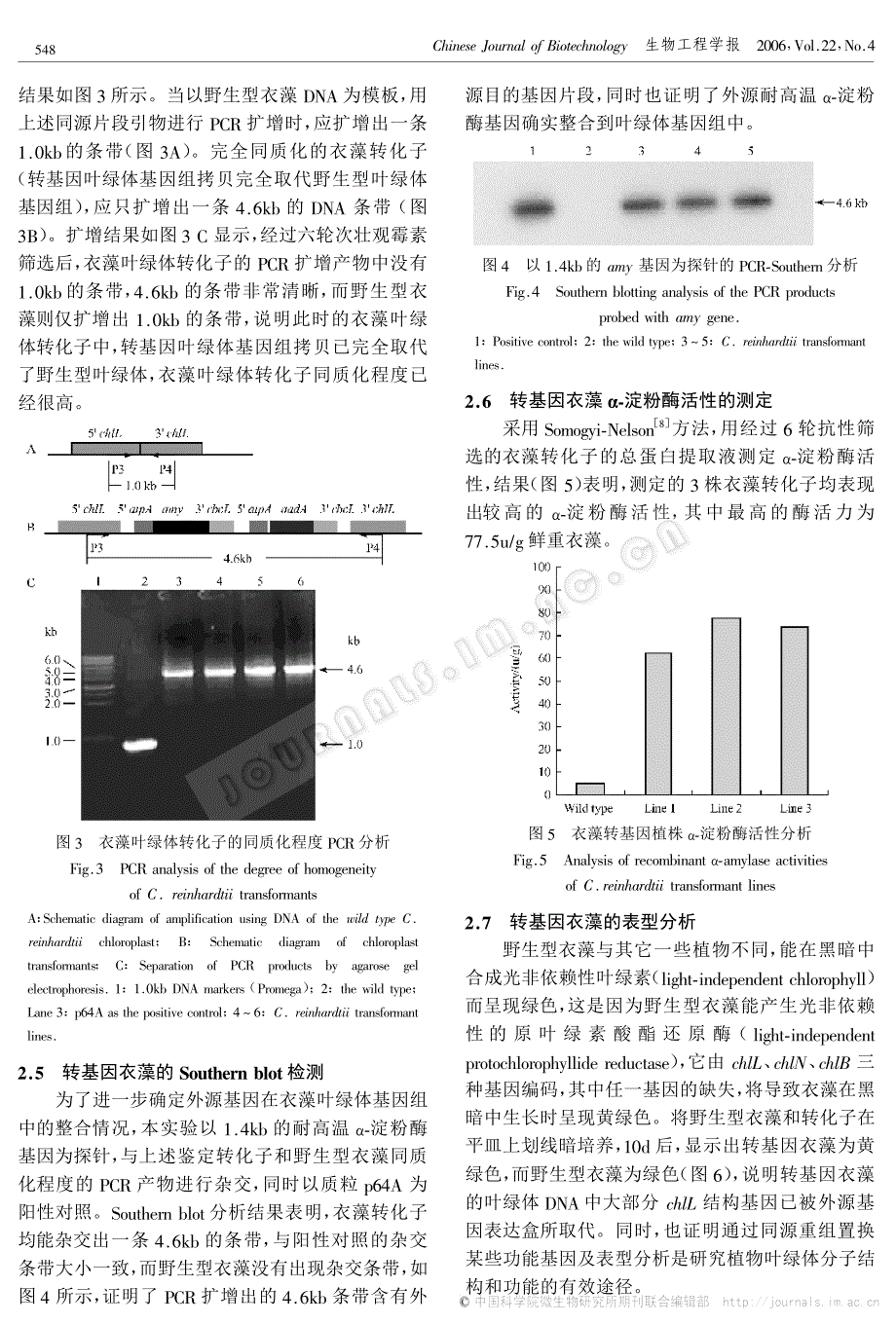 来源于pyrococcusfuriosus的耐高温α-淀粉酶基因在衣藻叶绿体中的表达_第4页